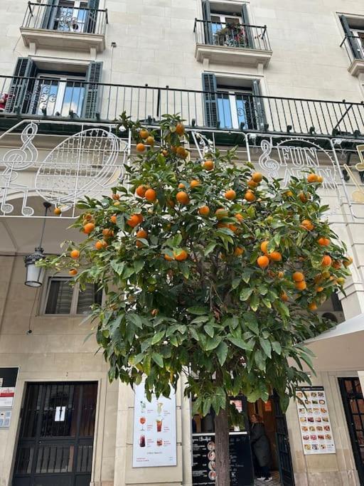Ferienwohnung Sol De Mar, La Mata Torre La Mata Exterior foto